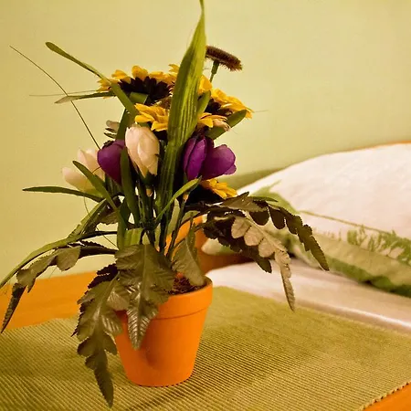 Jug Guest house